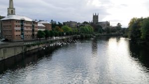 img_20161016_091022-2